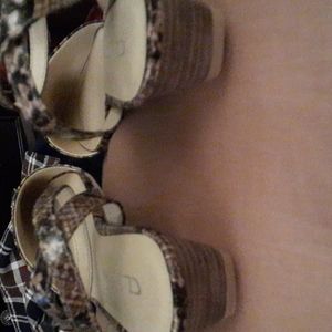 Brand new leopard cling back shoes